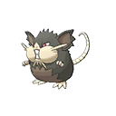 Alolan Raticate