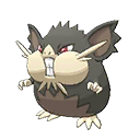 Totem Alolan Raticate