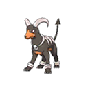 Houndoom