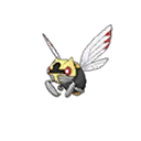 Ninjask