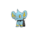 Shinx