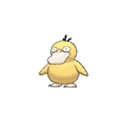 Psyduck