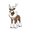 Winter Sawsbuck