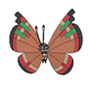 Archipelago Vivillon