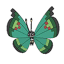 Garden Vivillon