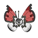 Poké Ball Vivillon