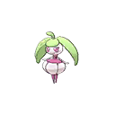 Steenee