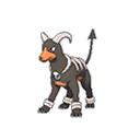 Houndoom