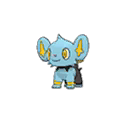 Shinx