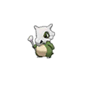 Cubone