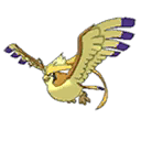 Mega Pidgeot