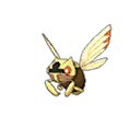 Ninjask