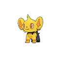 Shinx