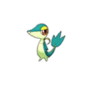 Snivy