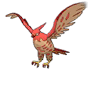 Talonflame