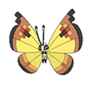 Continental Vivillon