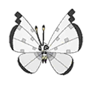 Icy Snow Vivillon