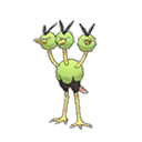 Dodrio