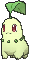 Chikorita