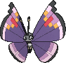 Elegant Vivillon