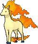 Rapidash