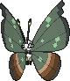 Jungle Vivillon