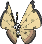 Sandstorm Vivillon