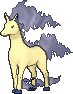 Rapidash