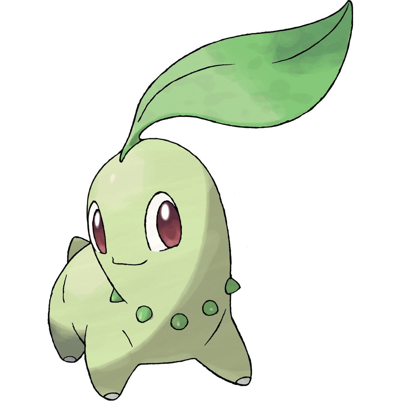 Chikorita