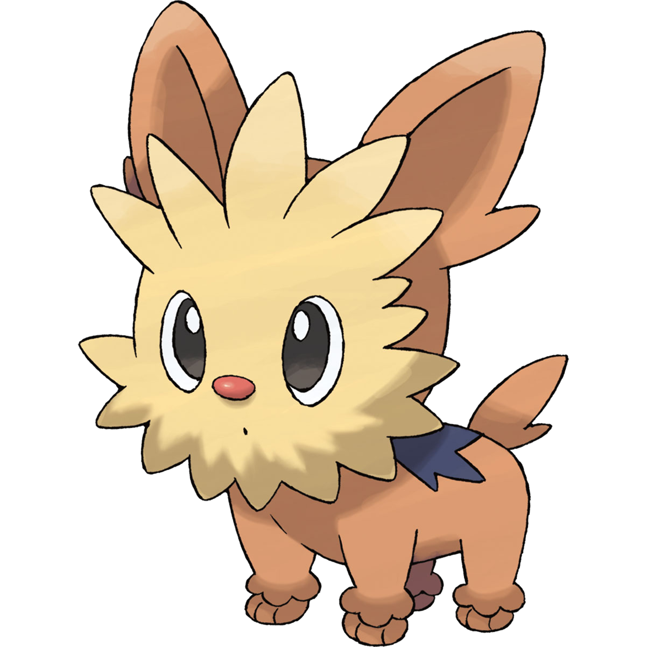 Lillipup