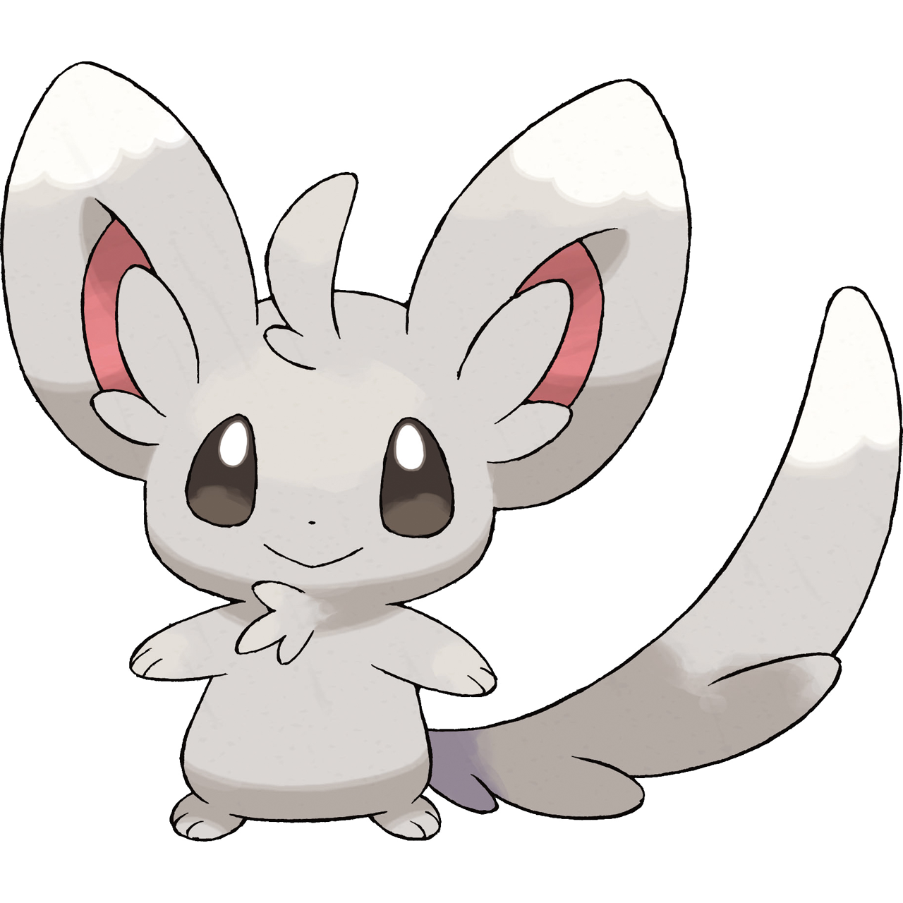 Minccino