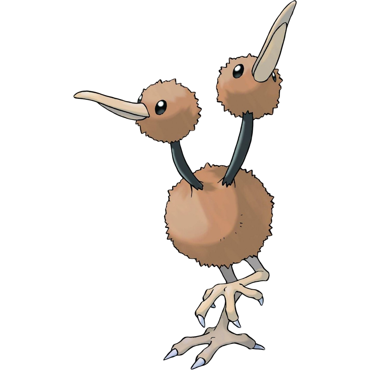 Doduo